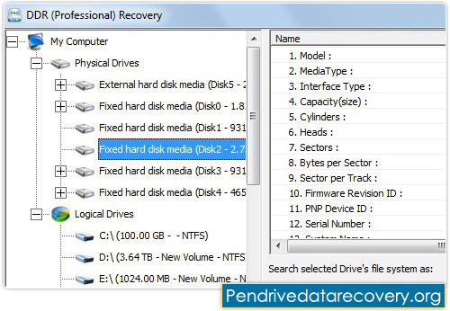 Click to see DDR Professional Data Recovery Software